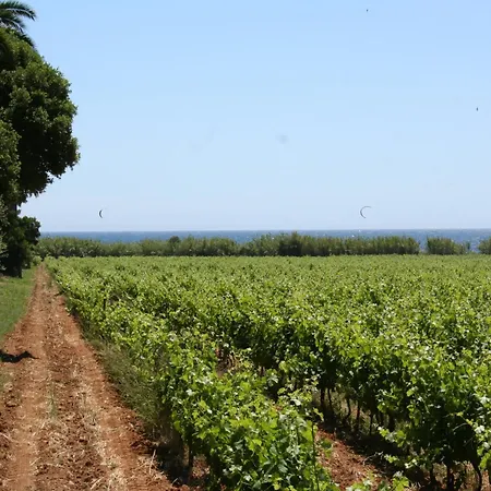 La Cigale La Croix-Valmer