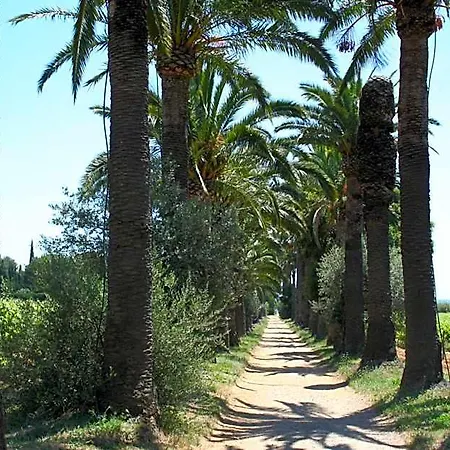 La Cigale 3*